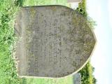 image of grave number 738870